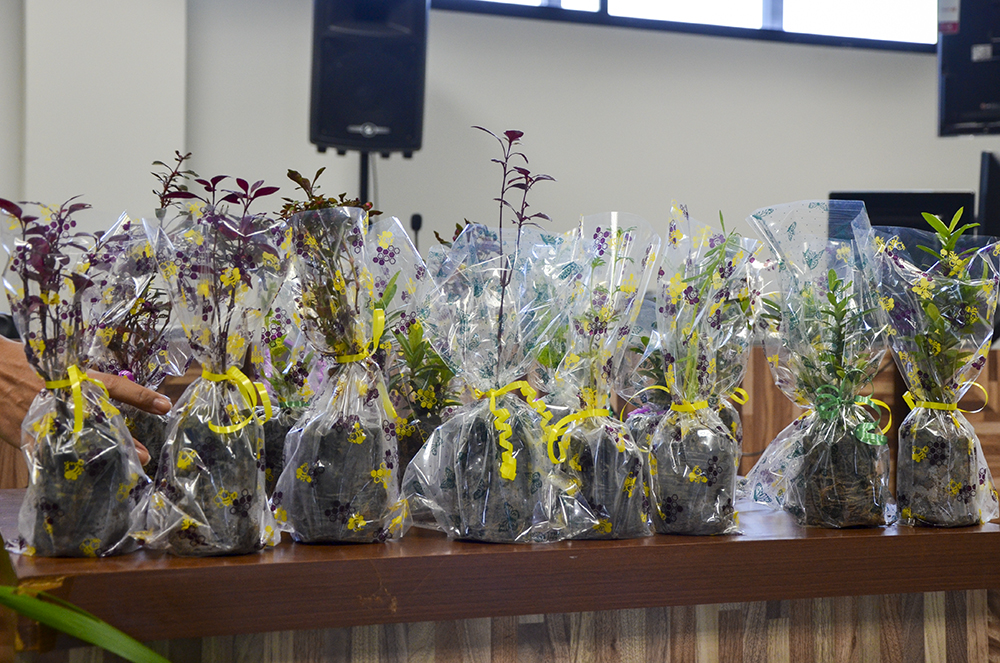 audiencias_retratacao_tjac_12