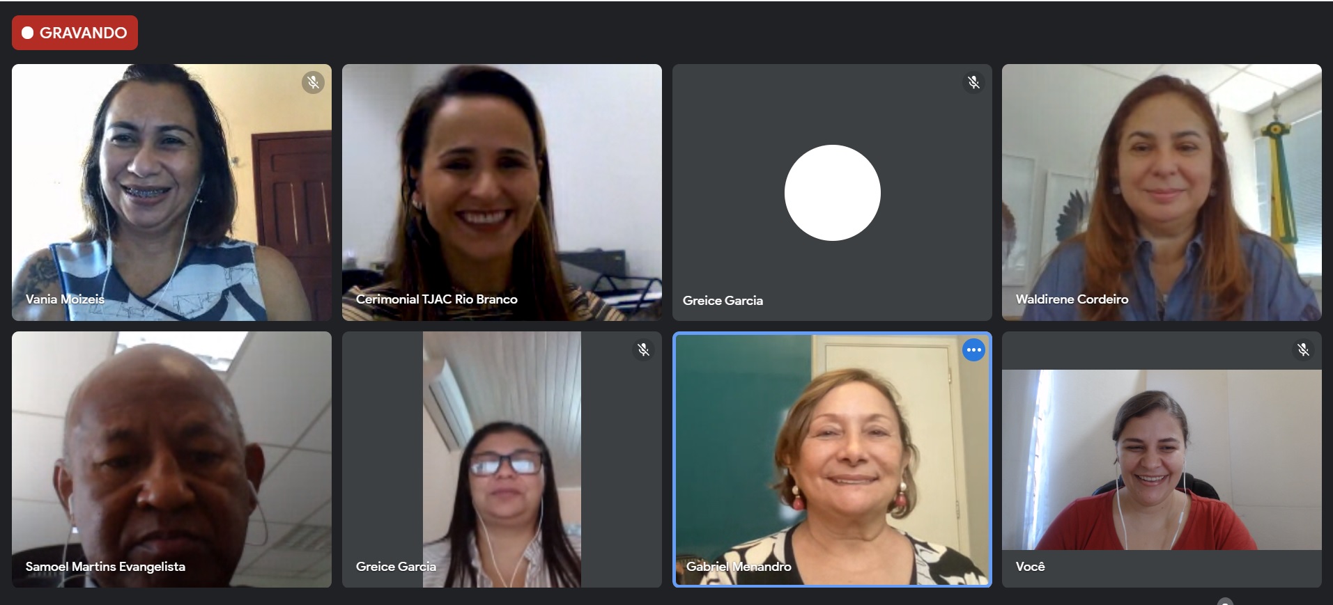 Foto da vídeochamada com a janela dos participantes em quadradinhos lado a lado