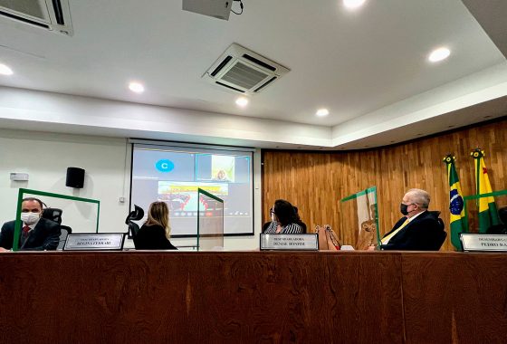 Plano detalhe da banca do Pleno, mostrando quatro magistrados e magistradas virados e olhando para projeção do data show, onde aparece a ministra em videochamada